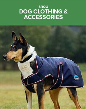 Dog Clothing & Accessories